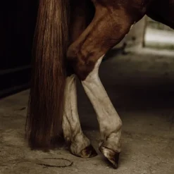 Nellumbo Démêlant Naturel Crins