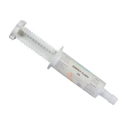 Nutragile Energy Flash Seringue