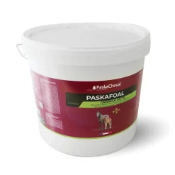 PaskaCheval PaskaFoal Complement Poulain