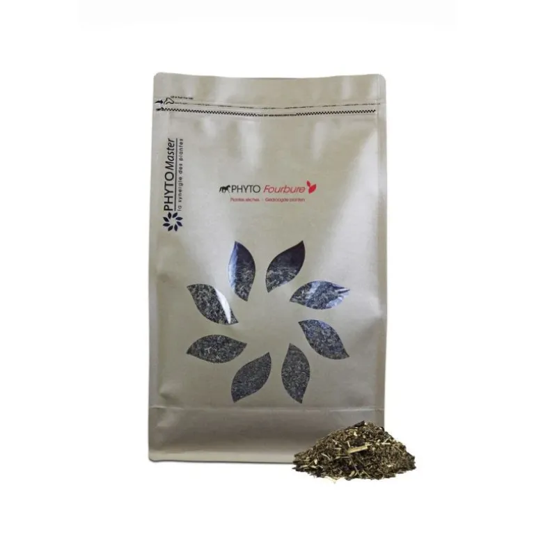 Phyto Master Phyto Fourbure