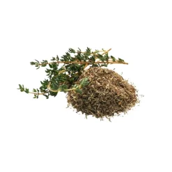 Phytology VetCare Thym pur Toux sèche et Respiration Cheval