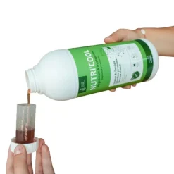 Ravene Nutri'Cool Solution