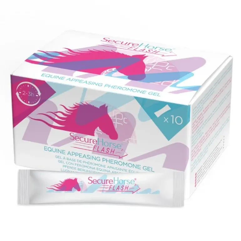 SIGNS SecureHorse Flash