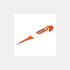 Thermomètre Électronique