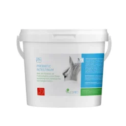 Valetumed Prebiotic Intestinum Digestion Cheval
