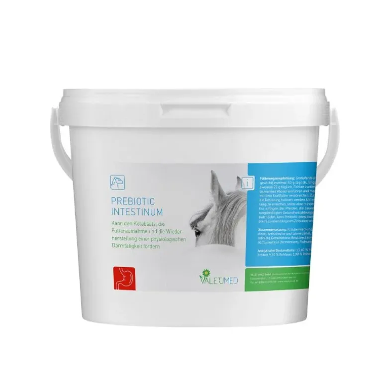 Valetumed Prebiotic Intestinum Digestion Cheval