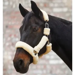 Waldhausen Licol Cozy - Crème / Argent